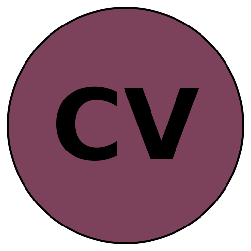 CraftedVision